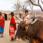 xr:d:DAFlDgg03Os:2,j:9153958829480972657,t:23060614